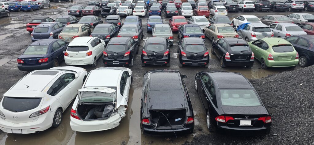 Pat Auto Parts 20260415 135542